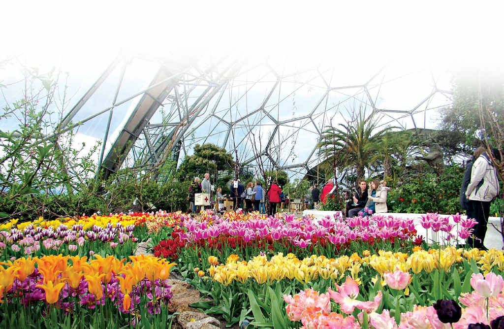 Global Garden Global Garden